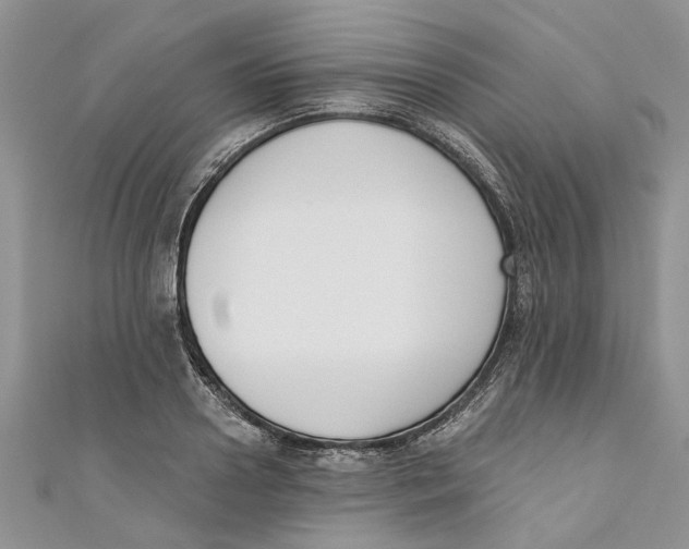 X0000110900938200907091413