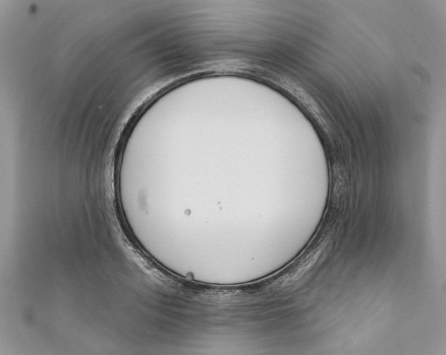 X0000110900939200907091413