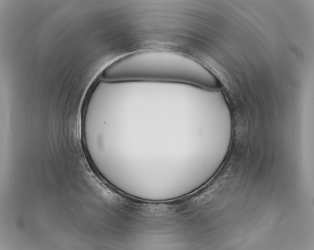 X0000110900940200907091413