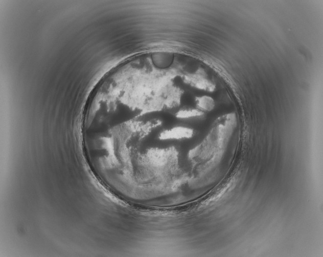 X0000110900941200907091413