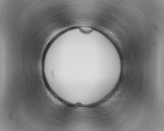 X0000110900942200907091413