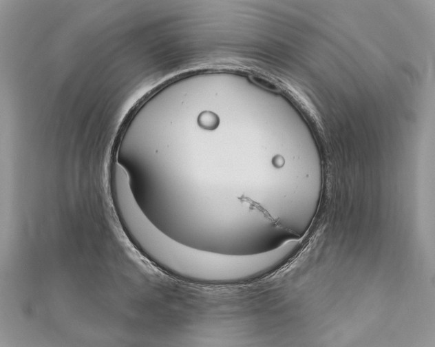 X0000110900944200907091413