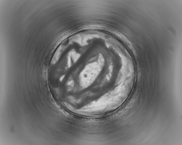 X0000110900945200907091413