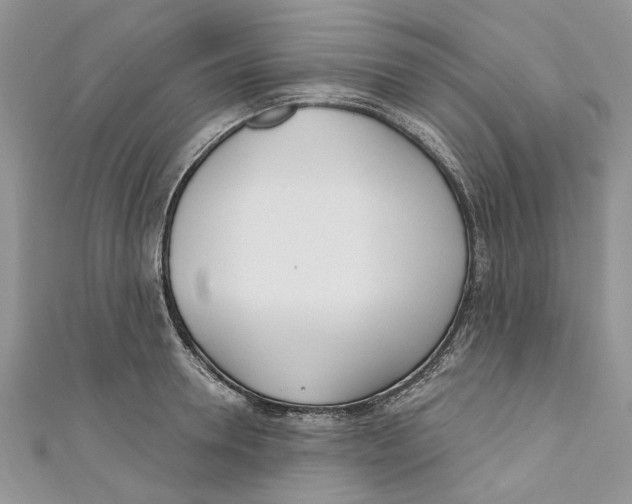 X0000110900946200907091413