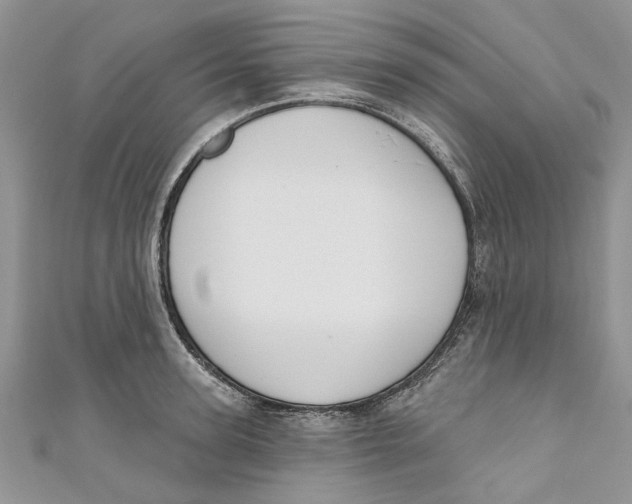 X0000110900947200907091413