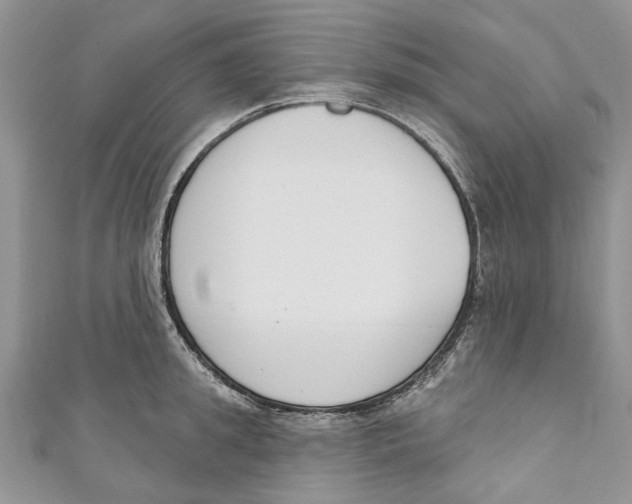 X0000110900949200907091413