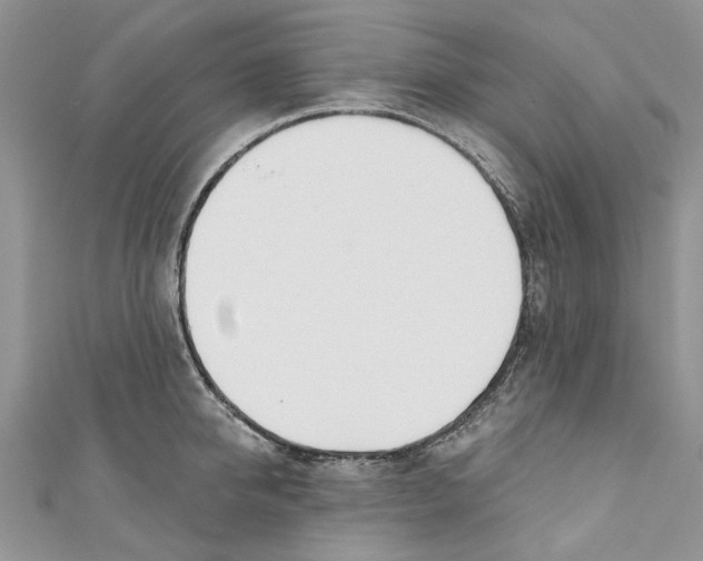 X0000110900950200907091413