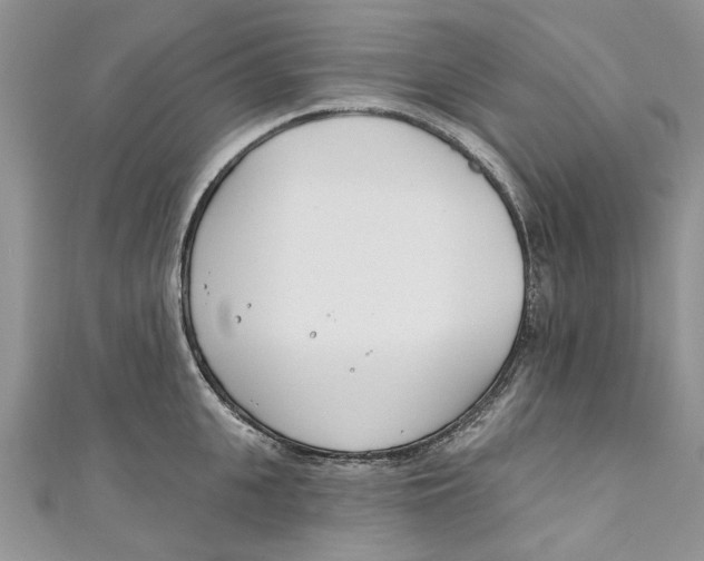 X0000110900951200907091413