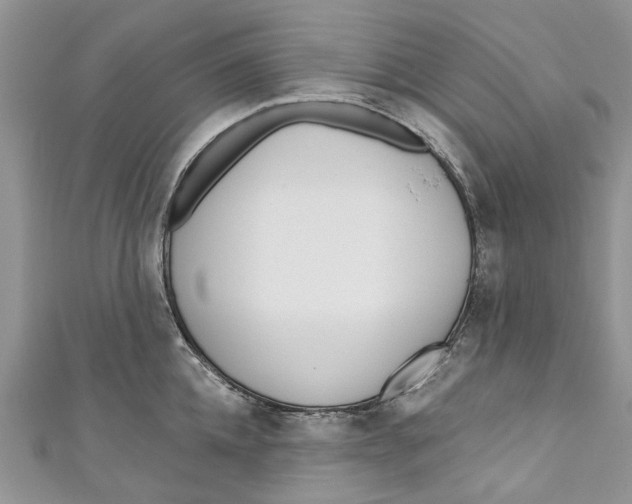 X0000110900952200907091413