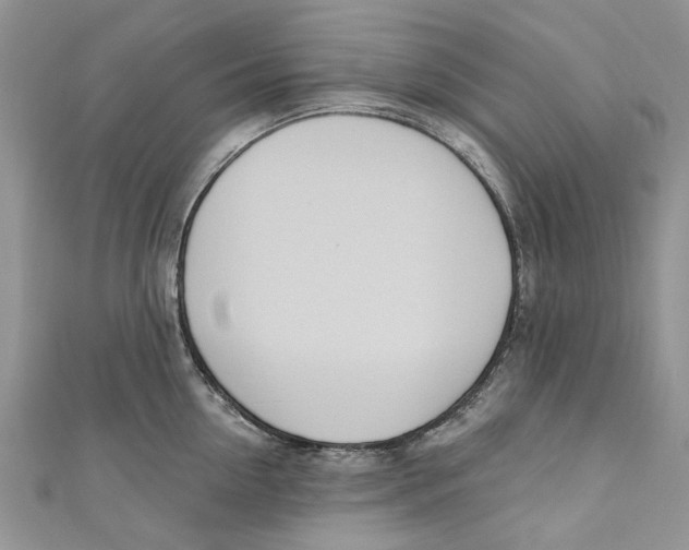 X0000110900954200907091413