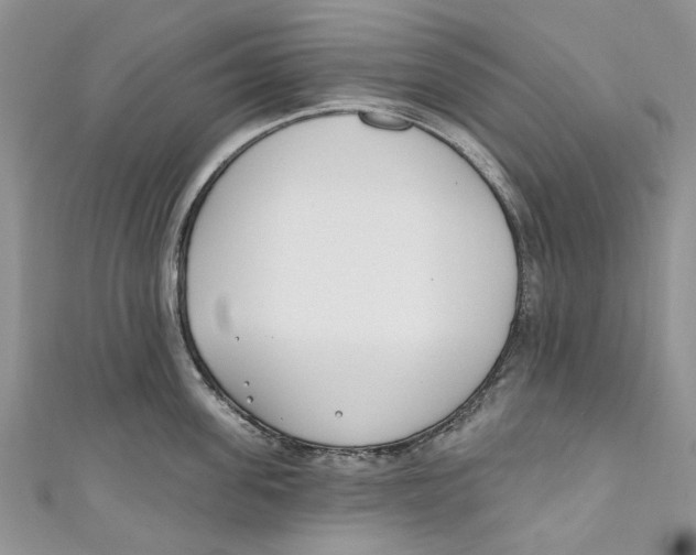 X0000110900955200907091413