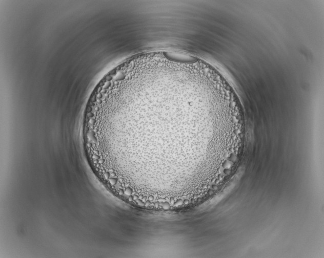 X0000110900957200907091413