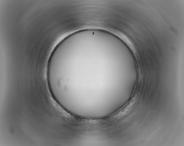 X0000110900958200907091413