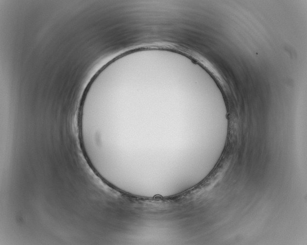 X0000110900959200907091413