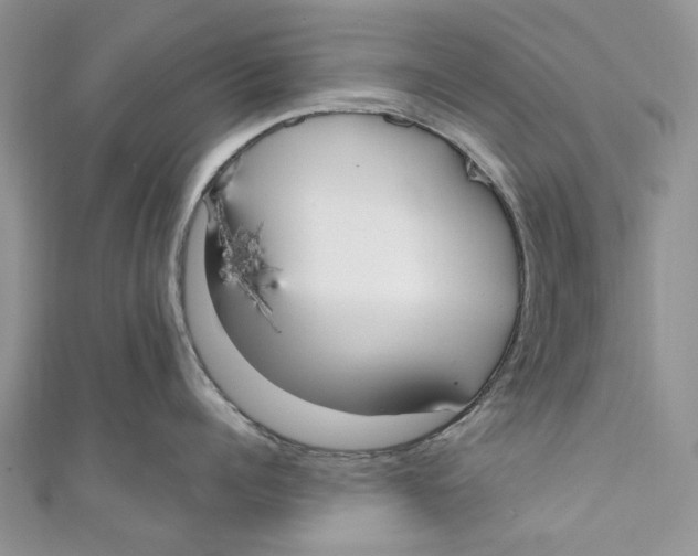 X0000110900960200907091413