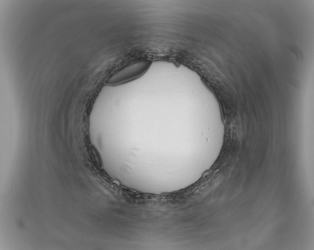 X0000110900961200907091412