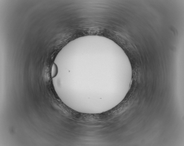 X0000110900962200907091412