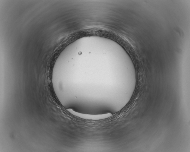 X0000110900965200907091412