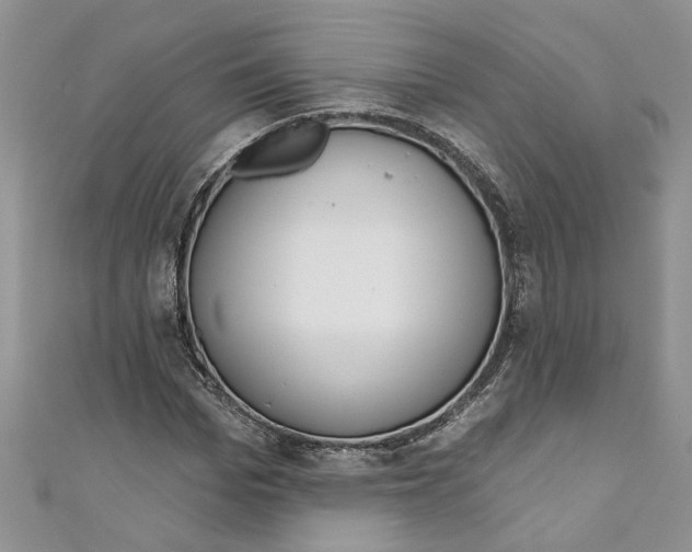 X0000110900969200907091412