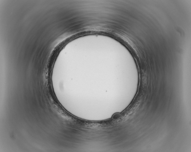 X0000110900971200907091412