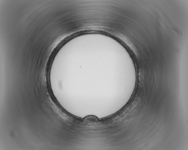 X0000110900972200907091412