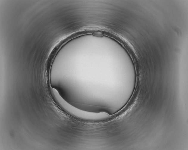 X0000110900973200907091412