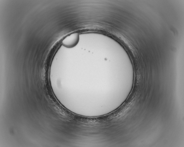 X0000110900975200907091412