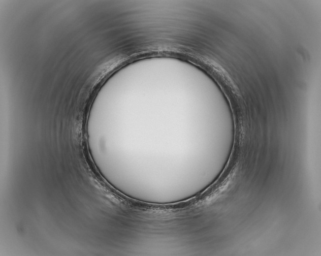 X0000110900977200907091412