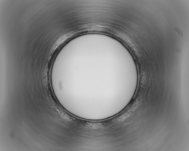 X0000110900978200907091412