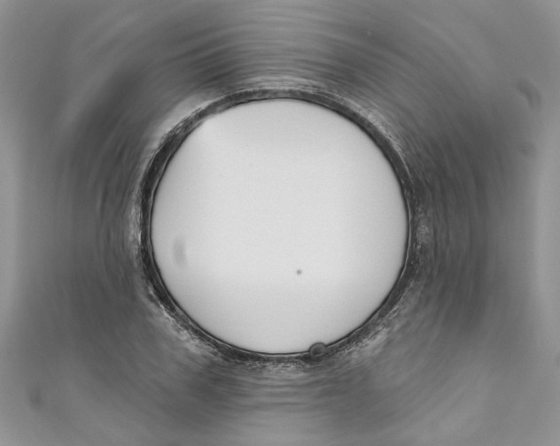 X0000110900979200907091412