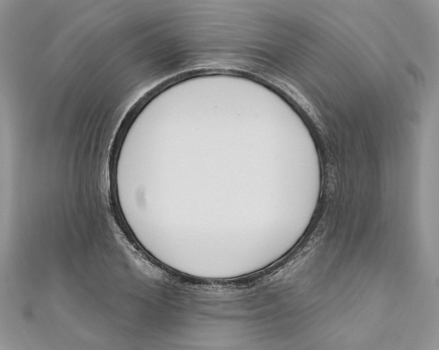 X0000110900980200907091412