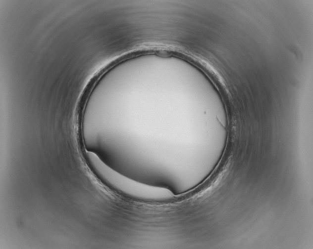 X0000110900981200907091412