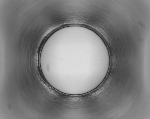 X0000110900982200907091412