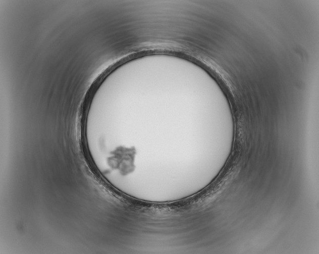 X0000110900983200907091412