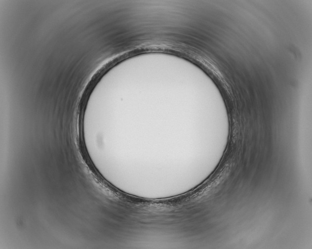 X0000110900984200907091412