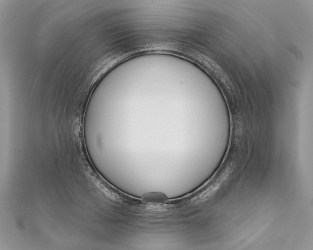 X0000110900985200907091412