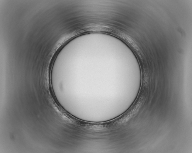 X0000110900986200907091412