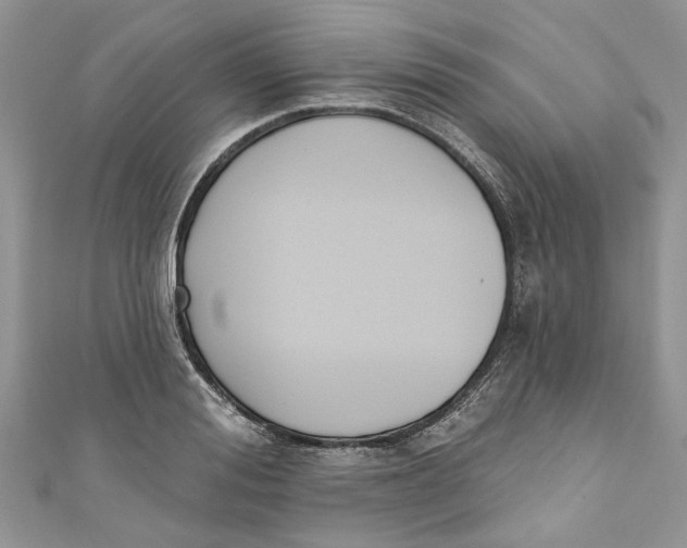 X0000110900988200907091412