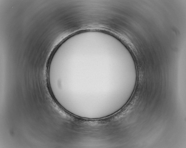 X0000110900990200907091412