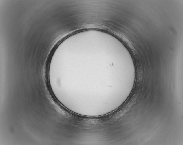 X0000110900991200907091412