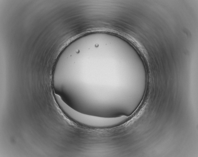 X0000110900993200907091412