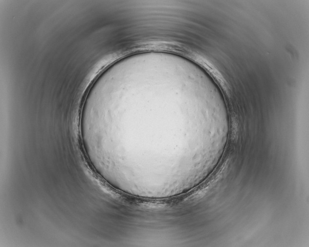 X0000110900994200907091412