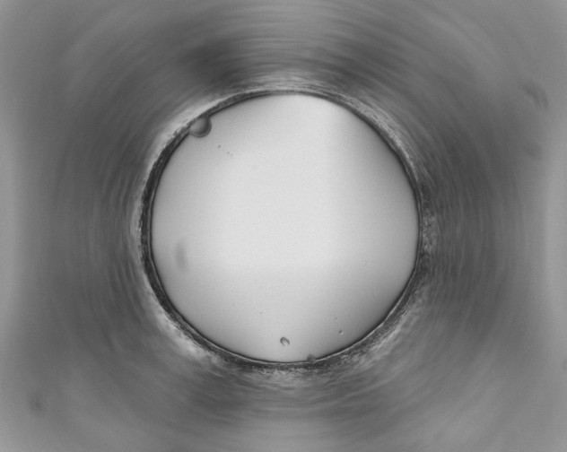 X0000110900995200907091412