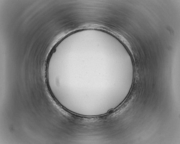 X0000110900997200907091412