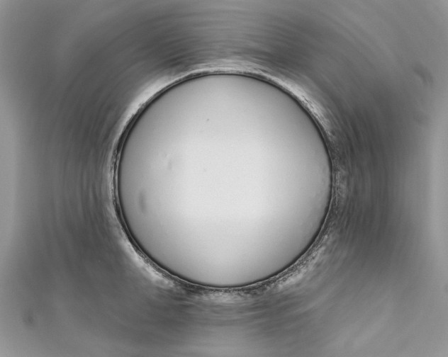 X0000110900998200907091412