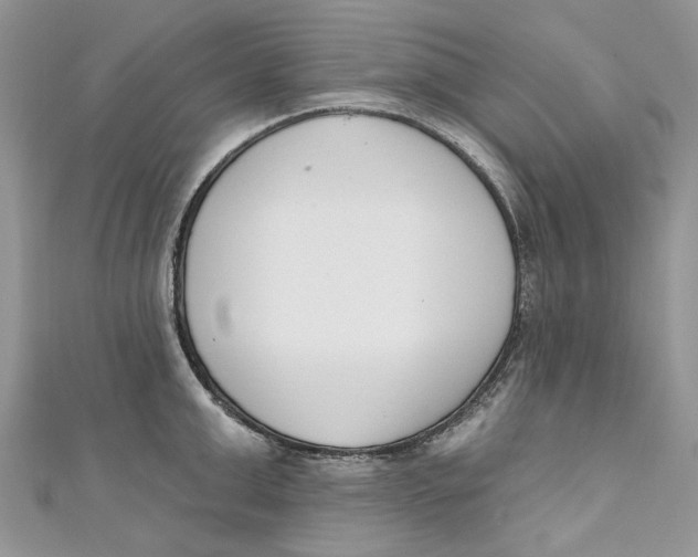 X0000110900999200907091411