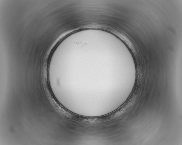 X0000110901000200907091411