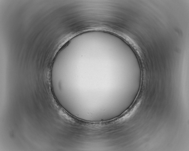 X0000110901001200907091411