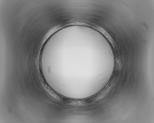 X0000110901002200907091411