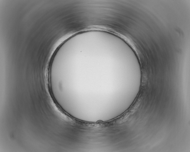 X0000110901003200907091411